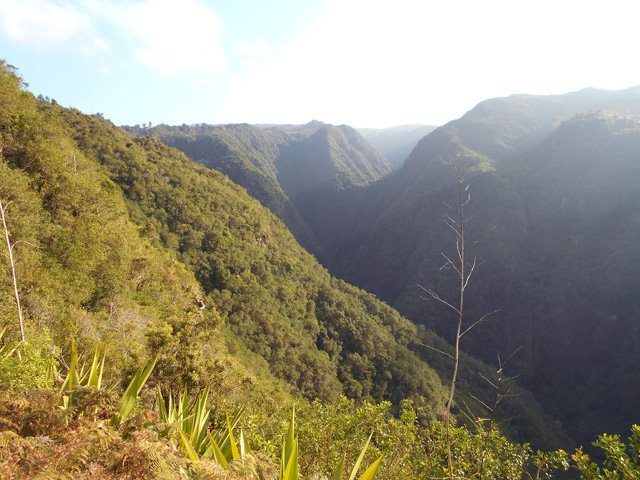 La vallée du Grand Bras