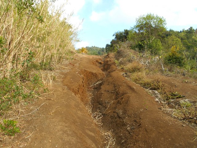 Le large chemin, creusé d'ornières en début de boucle sur piste