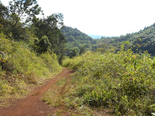 La piste dans une autre portion agréable