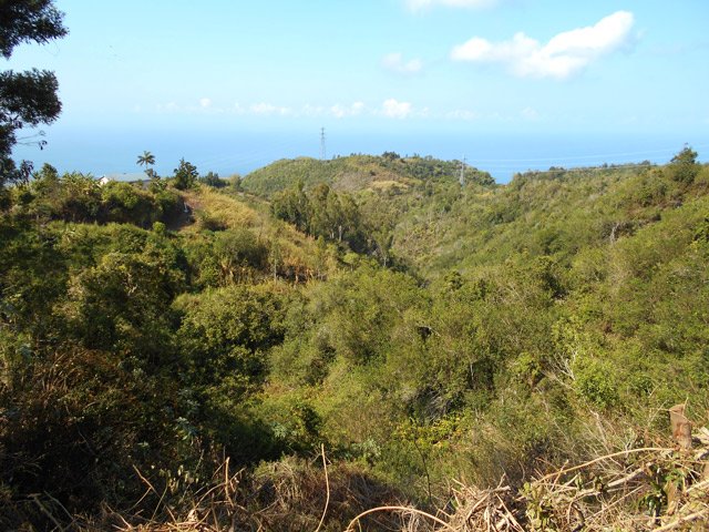 Point de vue sur le Piton la Mare depuis la piste