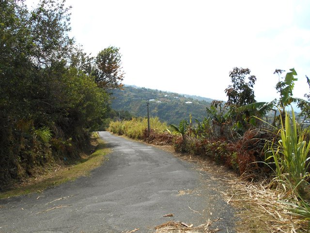 La route qui redescend vers la Ravine Sèche