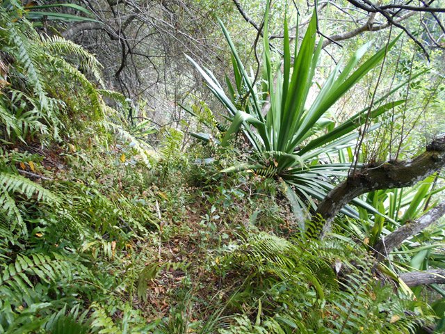 Source : Le sentier de la source