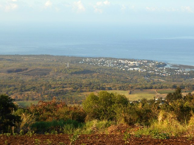 point de vue sur la forêt de l’Étang Salé lors de la montée du Chemin Dozenval