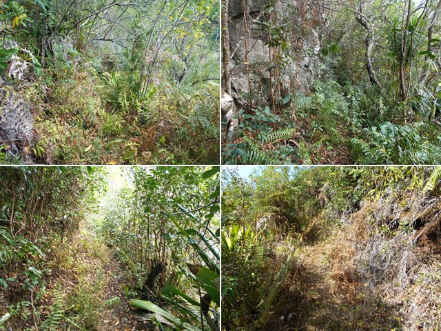 Source : Quatre portions souvent très différentes