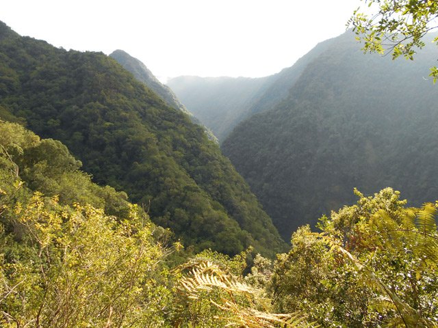 Source : On longe la vallée du Grand Bras