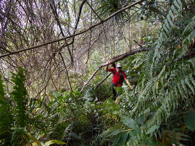 Source : Il faut se baisser assez souvent