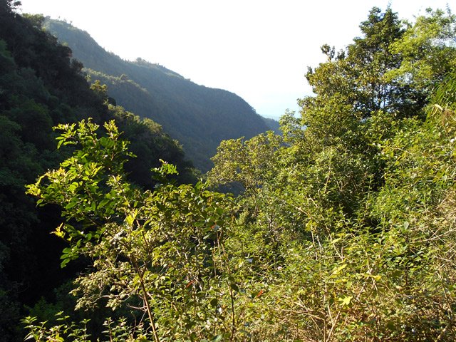 Source : La vallée du Grand Bras vue depuis le captage
