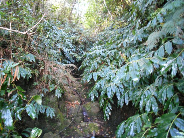Source : Difficile de poursuivre sans passer une petite cascade cachée dans les longoses