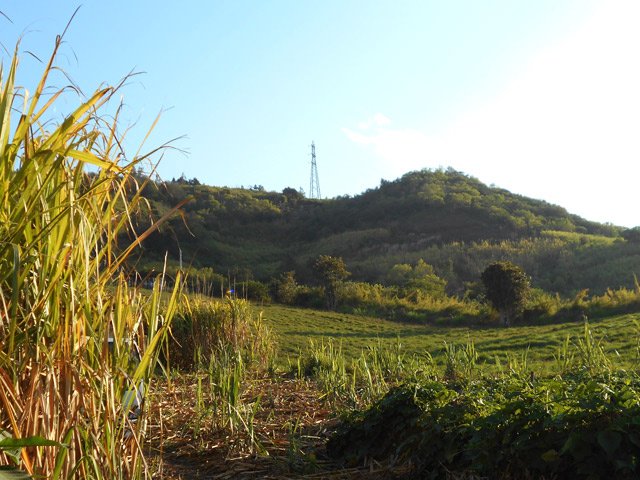 Le sud du Piton la Mare et son pylône électrique caractéristique