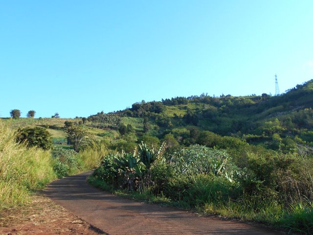 La route bétonnée qui fait le tour du piton