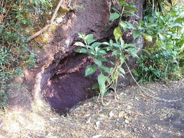 Une petite cavité en bord de route vers Bois Blanc