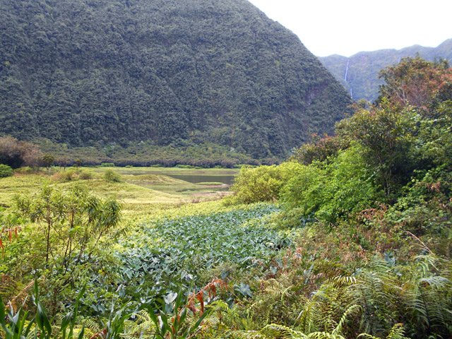 L'arrivée au Grand Etang