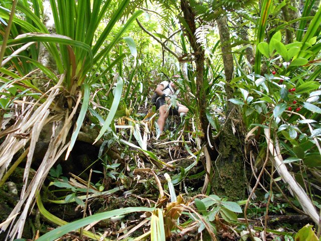 Une bonne idée de la montée quasi verticale comme souvent dans les remparts
