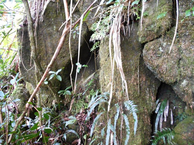 Il faut longer une courte barre rocheuse