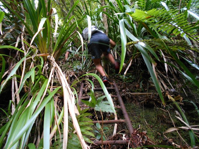 L'échelle, rouillée, mais qui supporte 70 Kg sans broncher