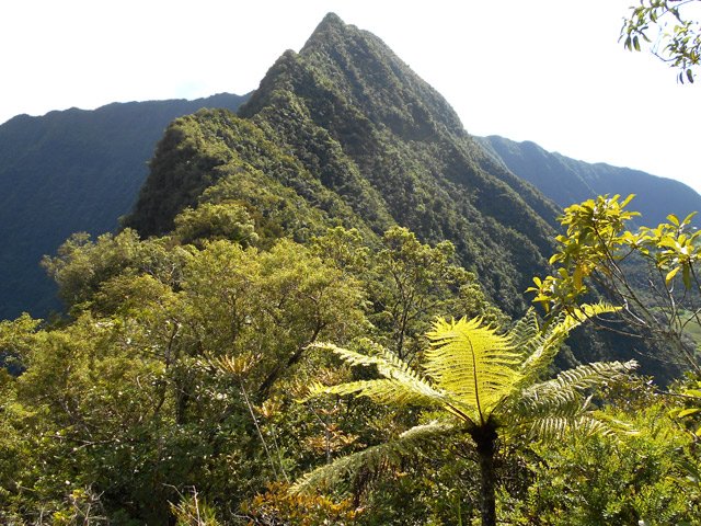 Arrivée sur la crête pour des panoramas sur le piton dominant Grand Fond et Grand Étang