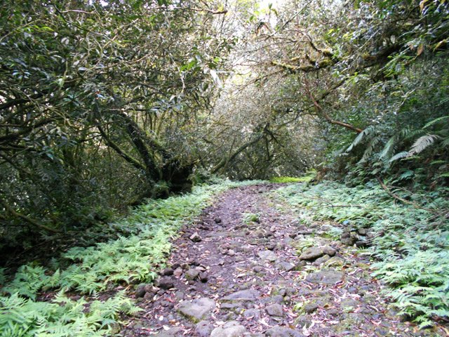 La piste caillouteuse en direction du départ du sentier de la Fenêtre