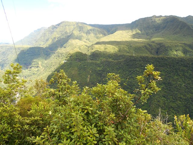 Les fils électriques. Les Deux Mamelles au fond
