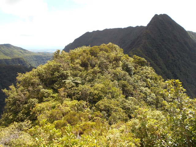 On voit jusqu'à la mer depuis le pylône