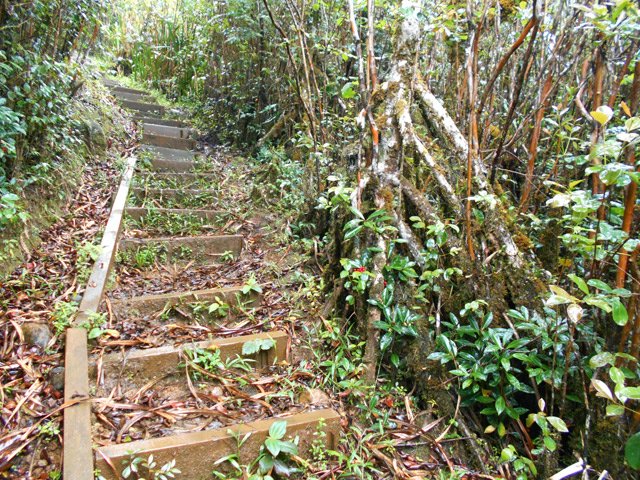 Début du sentier vers la Caroline par de hautes marches