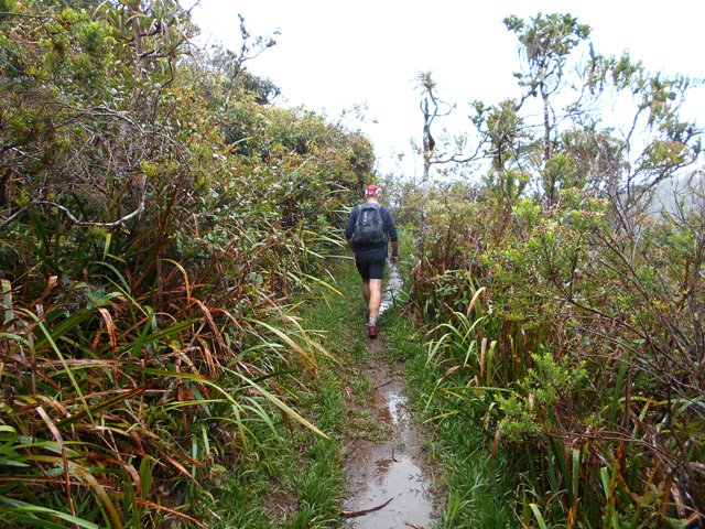 Le sentier est parfois étroit mais toujours facile à suivre