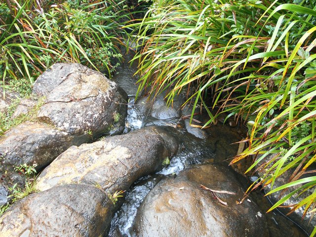 On passe plusieurs petits ruisseaux