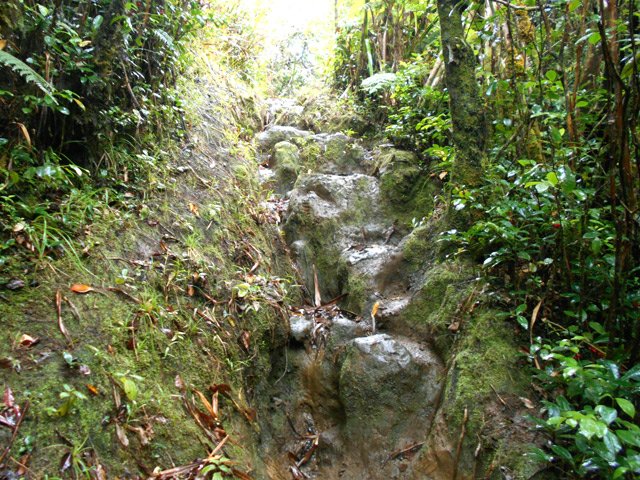 Une montée un peu raide et glissante