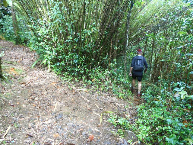 L'embranchement du sentier de Terre Rouge