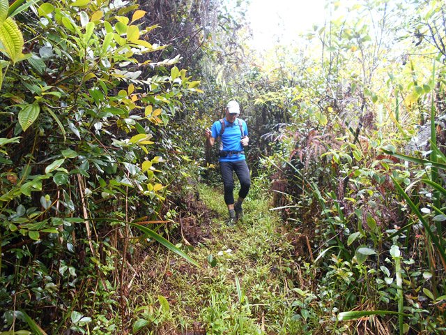 Une portion herbeuse du Sentier de Terre Rouge
