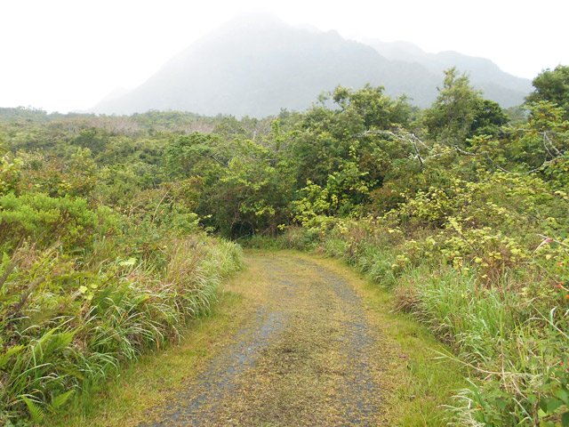 La piste menant à la rivière