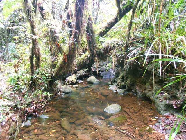 Passage du Bras Ananas