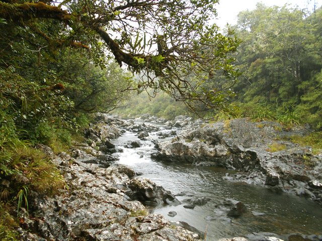 Remontée de la rivière du Bras des Lianes après les installations