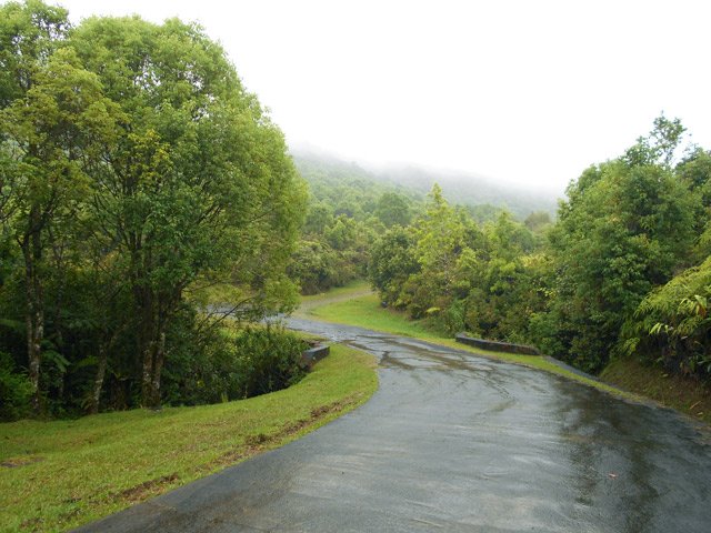 Le départ du sentier vers le Gîte de Bélouve
