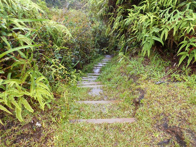 Le départ du sentier de la Caroline, en forte pente sur marches herbeuses