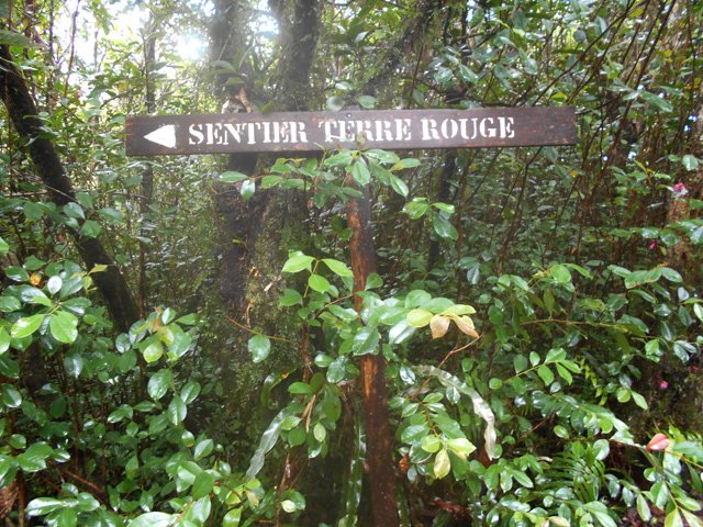 On est bien sur la bonne voie