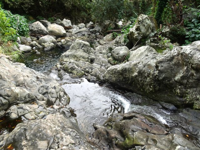 Les toboggans en aval du Bassin Franck