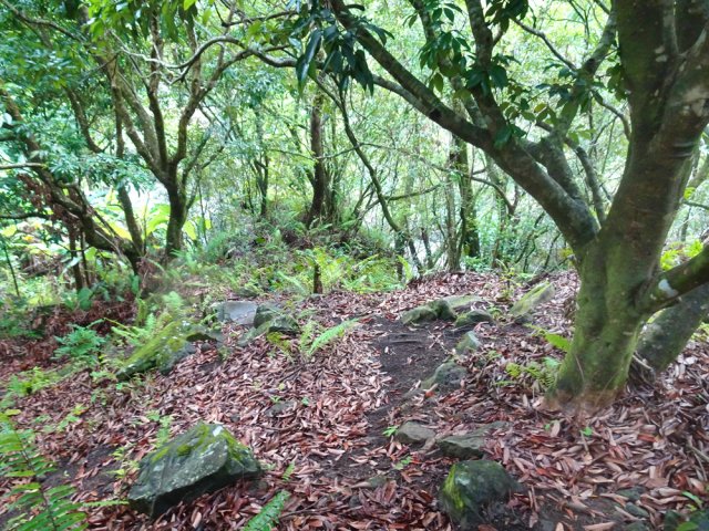 Forte montée pour s'éloigner du bassin