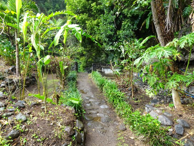 Traverser l'aire de pique-nique et rejoindre le lit du ruisseau