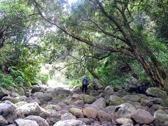 Fond caillouteux de la ravine vers le Bassin Chouchou