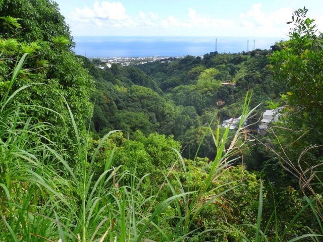 La Ravine Sèche vers l'aval