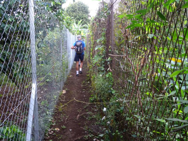 Étroit passage entre deux clôtures grillagées