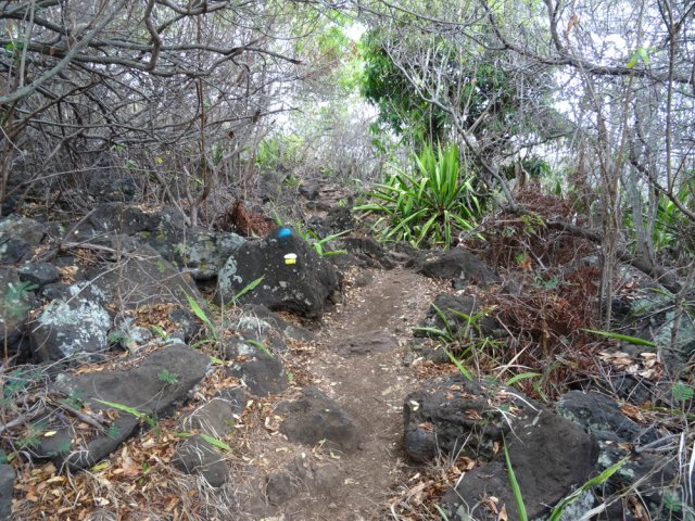 Le sentier est bien balisé même s'il est impossible de s'égarer