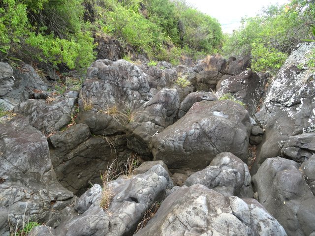 Le fond de la ravine vers l'aval