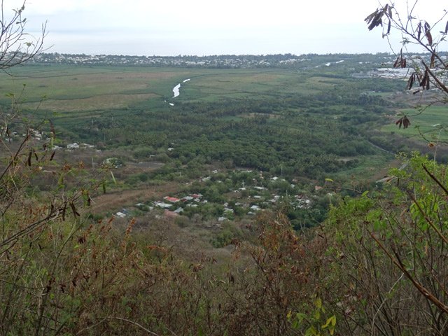 On voit les plantations de cocotiers du tour des Roches et l’Étang Saint-Paul
