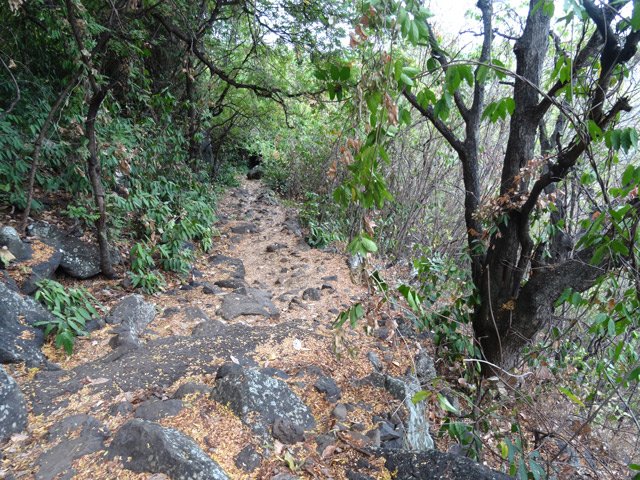 Aspect le plus classique du sentier vers la Perrière
