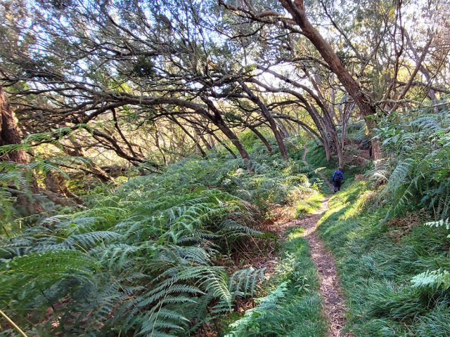 Le retour est plus agréable sur le sentier de découverte à quelques mètres de la route