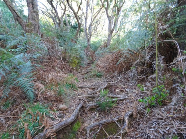 Le passage est bien marqué malgré le manque de fréquentations