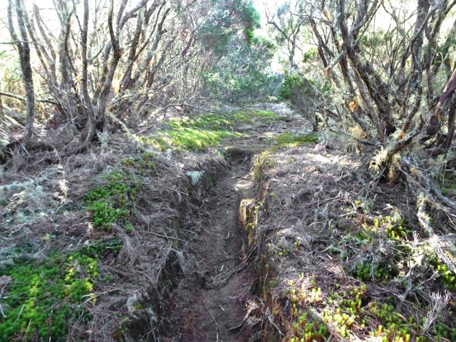 Plus haut, il est creusé dans le sol par les passages des VTT