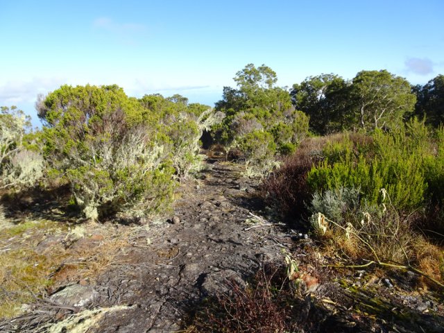 On rencontre un sol basaltique couvert de branles à l'approche de la Piste des 1800
