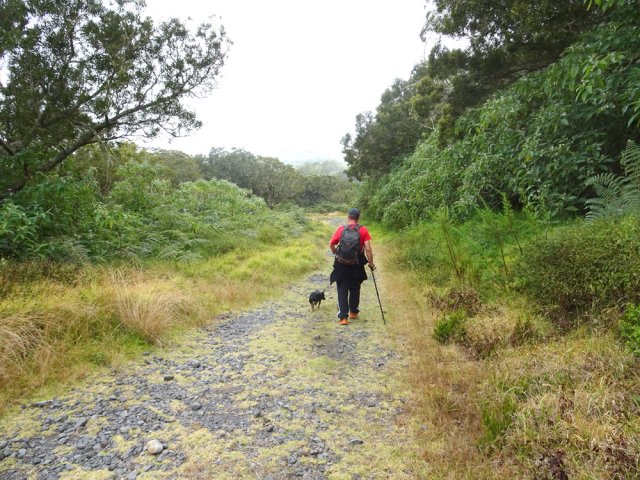 La longue piste Bolon ne comporte aucune difficulté